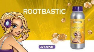 mini2-root-bastic.jpg