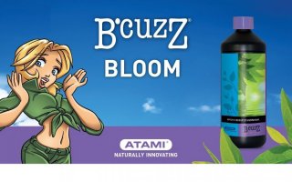 mini2-atami-hydro-booster-uni..jpg
