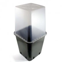 mini2-topf-gewaechshaus-gross-mit-11-liter-volumen.jpg