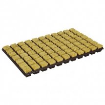 mini2-grodan-plaque-laine-de-roche-77-cubes-36x36x40mm.jpg
